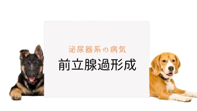 犬と猫の緩和ケア