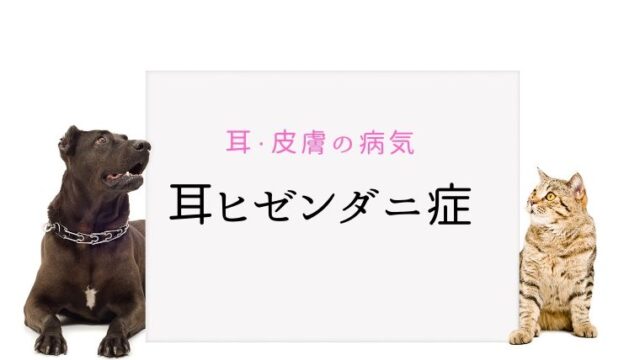 犬と猫の耳ヒゼンダニ症 耳ダニ まとめ 犬と猫の緩和ケア