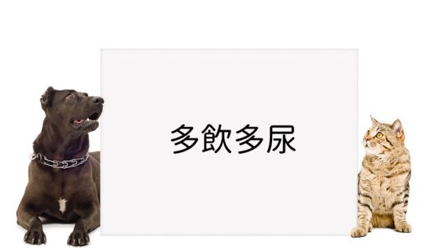犬と猫の緩和ケア