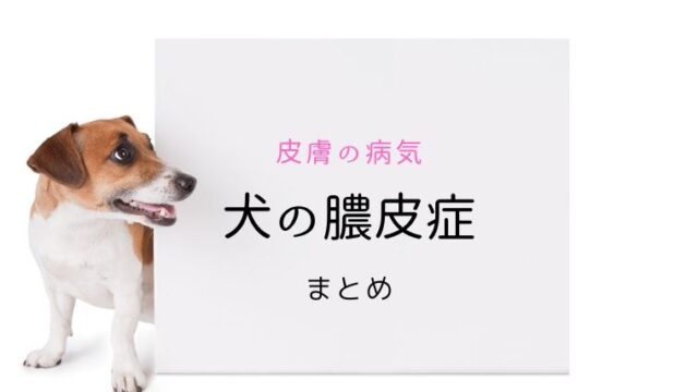 犬の膿皮症 まとめ 犬と猫の緩和ケア