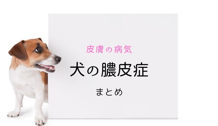 犬の膿皮症 まとめ 犬と猫の緩和ケア