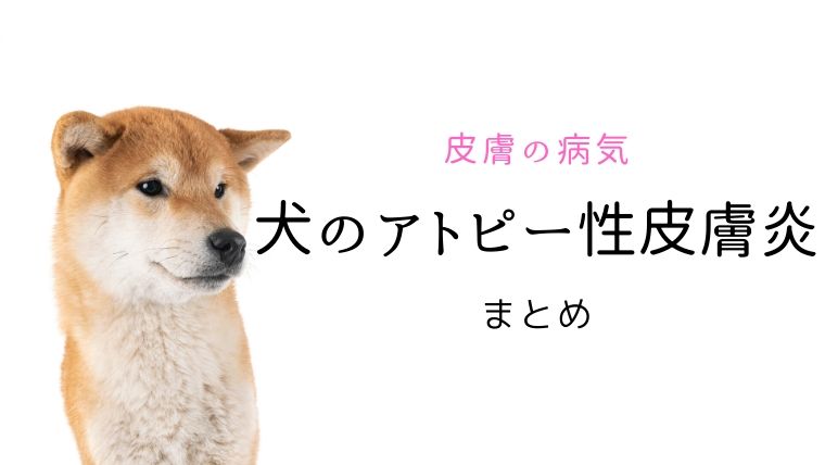 犬のアトピー性皮膚炎 まとめ 犬と猫の緩和ケア