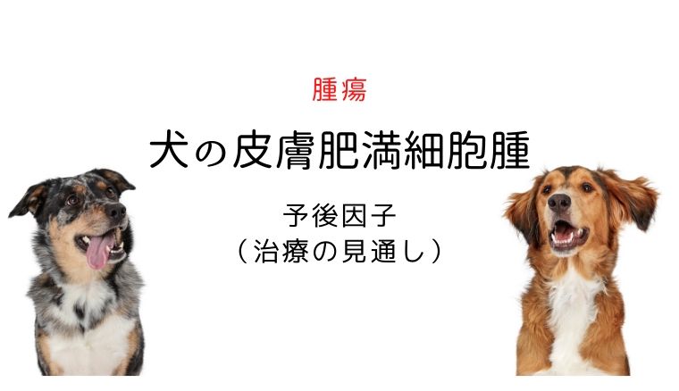 犬の肥満細胞腫 予後因子 犬と猫の緩和ケア