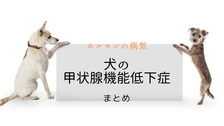 犬の甲状腺機能低下症 まとめ 犬と猫の緩和ケア