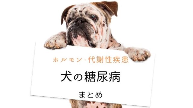 犬の糖尿病 まとめ 犬と猫の緩和ケア