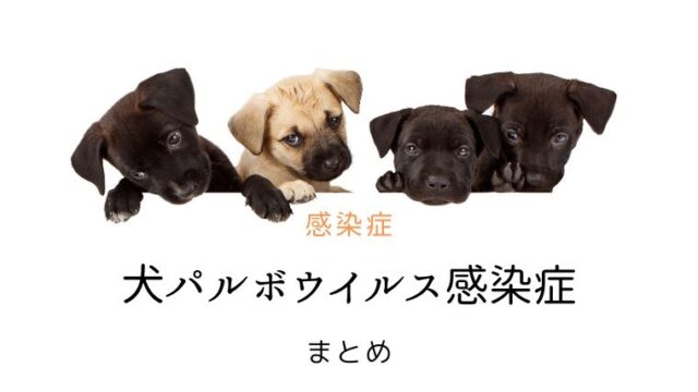 犬パルボウイルス感染症 まとめ 犬と猫の緩和ケア