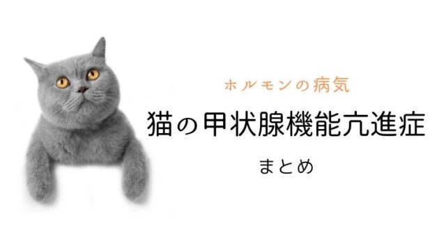 猫の甲状腺機能亢進症 まとめ 犬と猫の緩和ケア