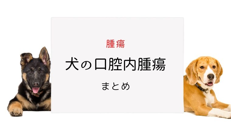 犬の口腔内腫瘍 まとめ｜犬と猫の緩和ケア