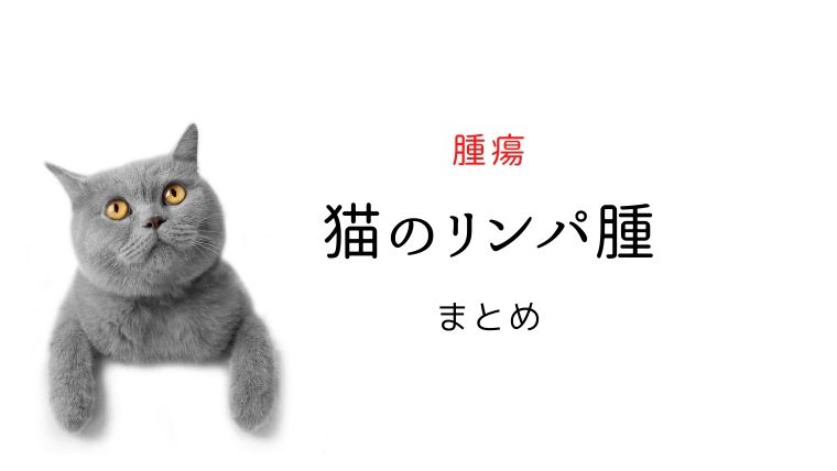 猫のリンパ腫 まとめ｜犬と猫の緩和ケア