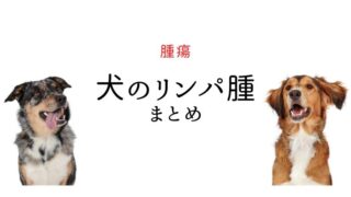 犬 リンパ腫
