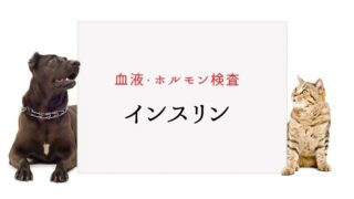 犬猫の血液検査 Alp アルカリフォスファターゼ 犬と猫の緩和ケア