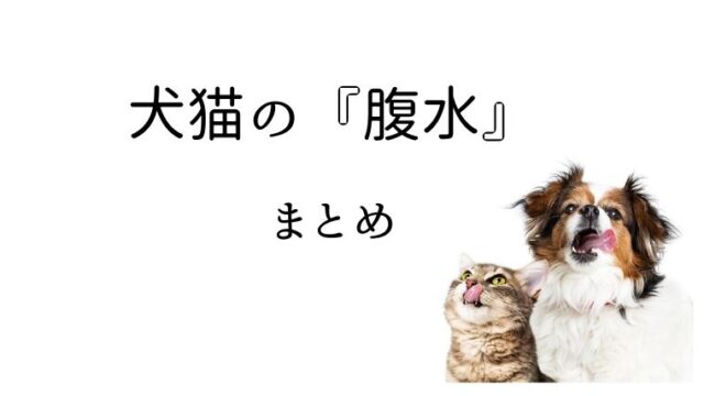 犬猫の運動不耐性 疲れやすい 犬と猫の緩和ケア