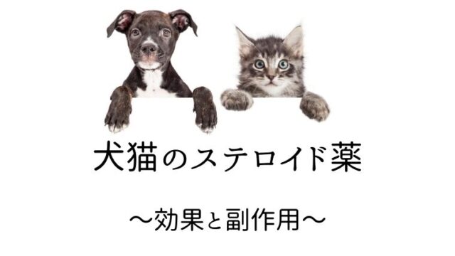 犬猫のステロイド薬 犬と猫の緩和ケア