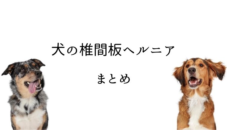 犬の椎間板ヘルニア まとめ 犬と猫の緩和ケア