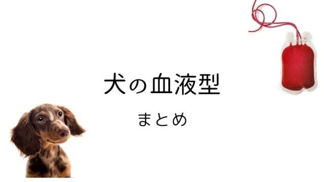 犬の血液型 まとめ 犬と猫の緩和ケア