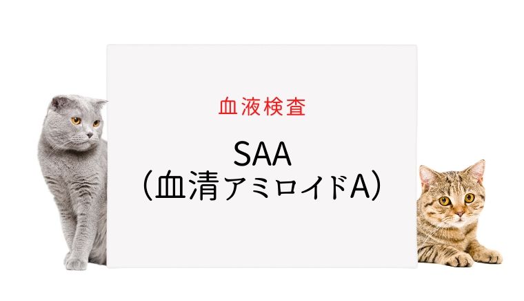 猫の血液検査 Saa 血清アミロイドa 犬と猫の緩和ケア