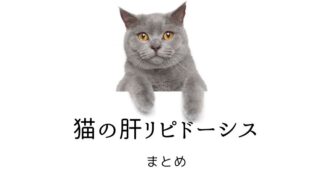 犬猫の血液検査 Alp アルカリフォスファターゼ 犬と猫の緩和ケア