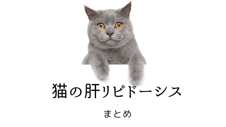 猫の肝リピドーシス まとめ｜犬と猫の緩和ケア