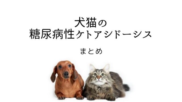 犬猫　糖尿病性ケトアシドーシス