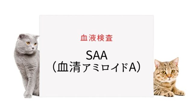 手順は何ですか?