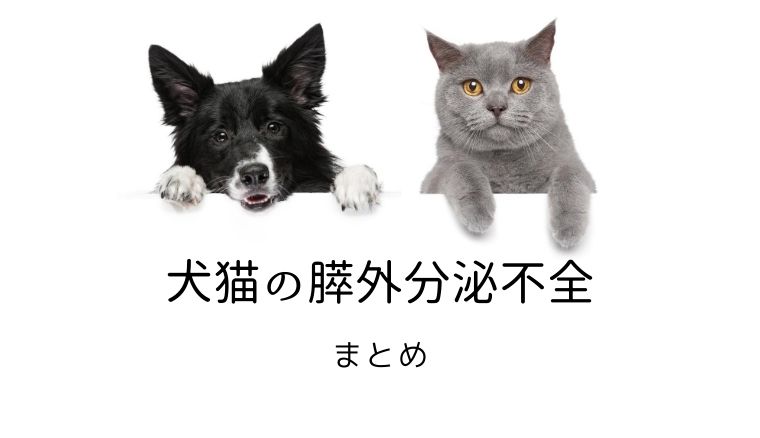 犬猫の膵外分泌不全 まとめ 犬と猫の緩和ケア