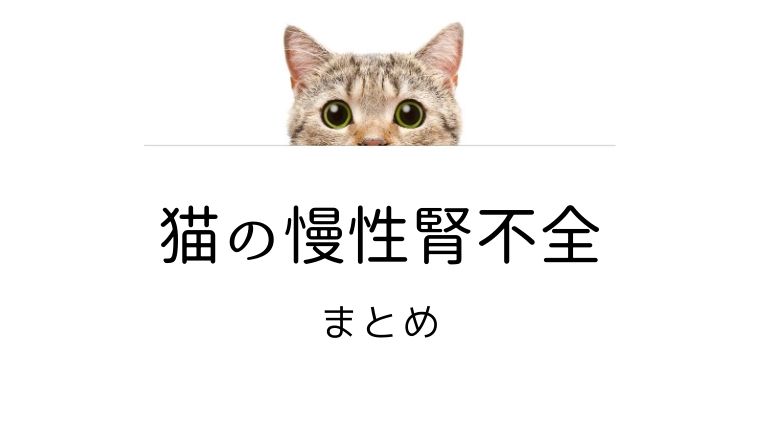 猫の慢性腎不全 慢性腎臓病 Ckd まとめ 犬と猫の緩和ケア