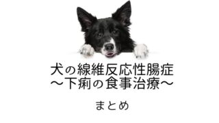 猫の便秘と巨大結腸症 まとめ｜犬と猫の緩和ケア