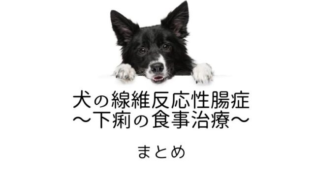 犬の線維反応性腸症 下痢の食事治療 まとめ 犬と猫の緩和ケア