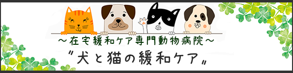 在宅緩和ケア専門動物病院　犬と猫の緩和ケア