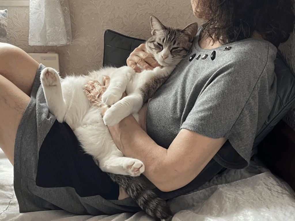 飼い主に抱き抱えられる猫