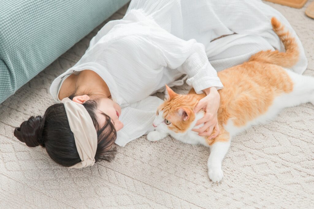 猫と添い寝する飼い主